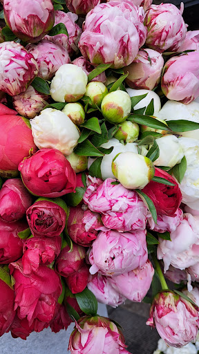 Blumenambiente Romy Junge St. Johann - Thumbnail
