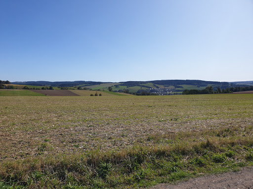 Schöne Aussicht (Aussichtspunkt & Rodelhang) - Thumbnail