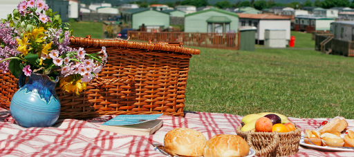 Old Park Wood Caravan Holiday Park - Thumbnail