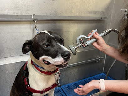 Chow Hound Pet Supplies Pet Wash & Grooming