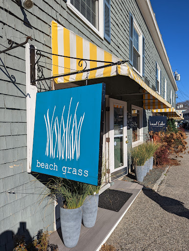 Beach Grass - Visual