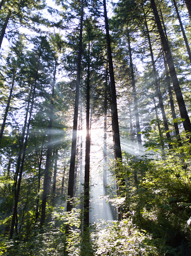 Wyeth Campground - Visual