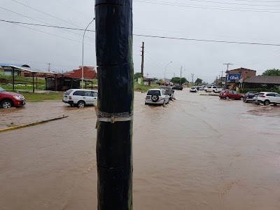 Photos of Surtidor OCTANO