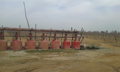 Photos of Salhia for Investment and Development