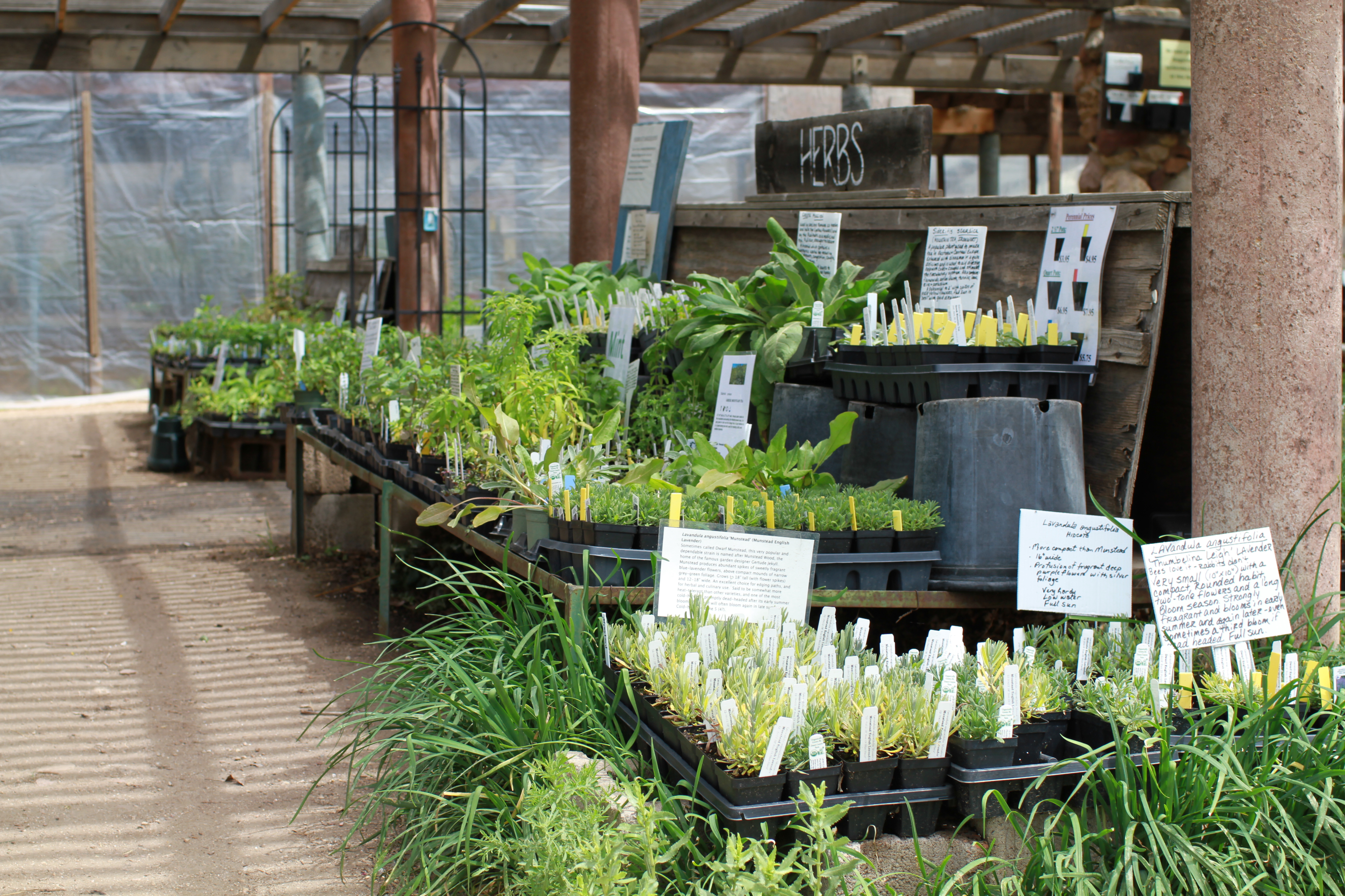 Harlequin's Gardens
