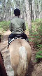 Photo n°9 de Bergerie de Bazas à Lignan-de-Bazas (Chambre d'hôtes)