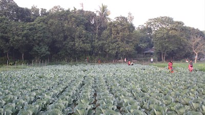 Photos of বরাটি নাট মন্দির
