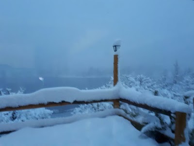 Photos of El Rincon de Pehuenia