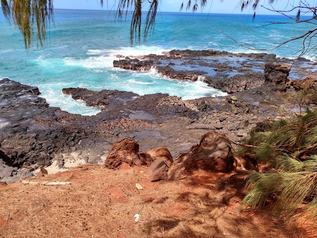 Spouting Horn Park