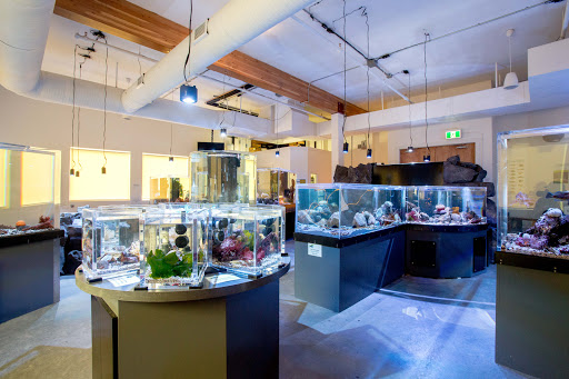 TidePools Aquarium - Thumbnail