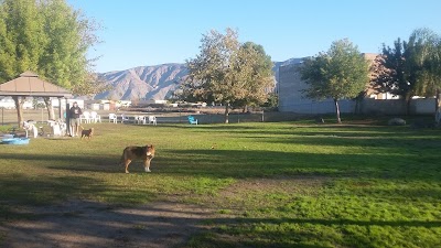 Photos of Ramona Humane Society