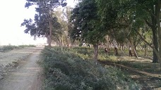 Green Public Park hyderabad