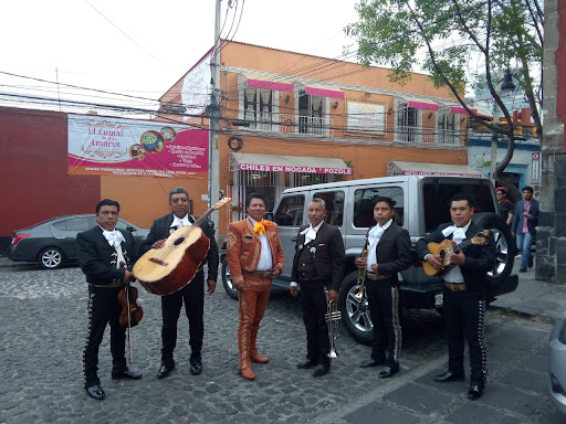 Mariachi. Los potrillos del bajío.