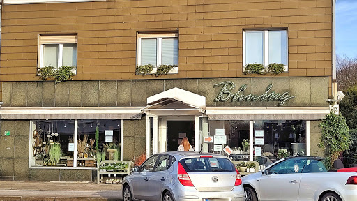 Blumen Büning