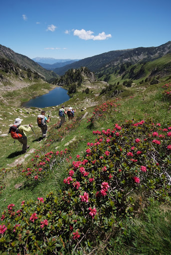 Feeling Pyrénées - Visual