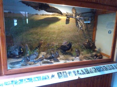 Photos of Bird Hospital Foundation