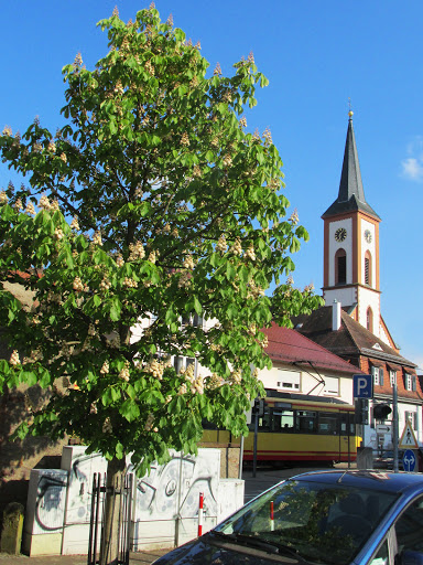 Blankenloch Kirche Gallery - Germany