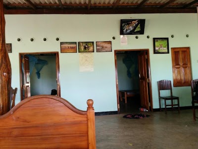 Photos of Thala Wila Forest Lodge