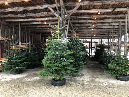 Christbam, Christbäume, Christbaum, Christbaumverkauf, Vachendorf Erlstätt Traunstein NEU Hüpfburgverleih - Thumbnail