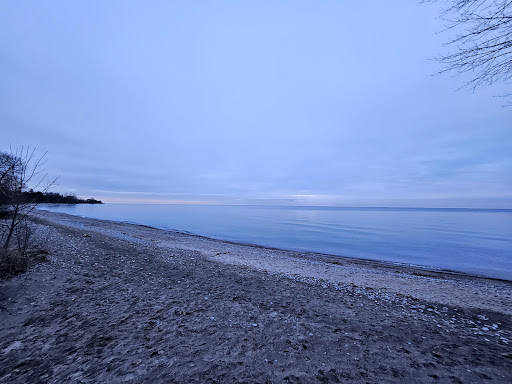 Pickering Beach - Visual