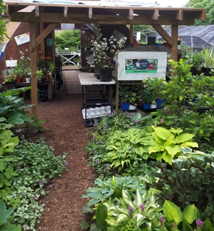 Gardens Plus - Visual