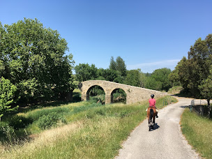 Photo n°10 de Ferme équestre du Plo à Val-de-Dagne (Agriculteur)