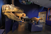 National Museum of Natural History, Luxembourg City, Luxembourg
