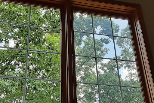 Clear Contrast - Thumbnail