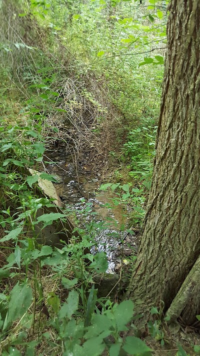 Photos of Cool Springs Wildlife Conservation Park