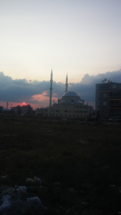 Yeni Camii