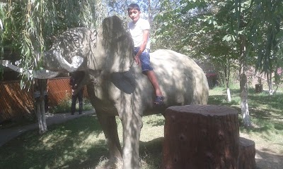 Photos of Kavkaz Restoran