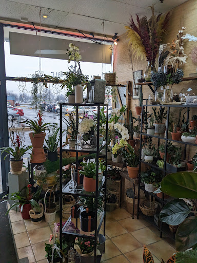 O'Fleuriste - Visual
