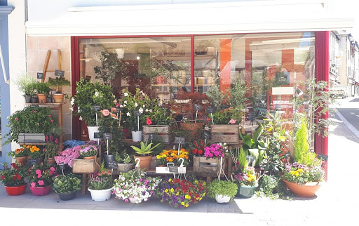 Aux Bois Fleuris SARL