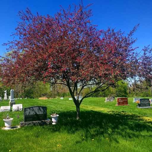 Washington Township Cemetery - Thumbnail