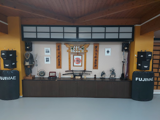 Sasori Fight Academy - Thumbnail