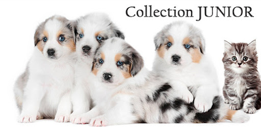 Pet Beauty Store - Thumbnail