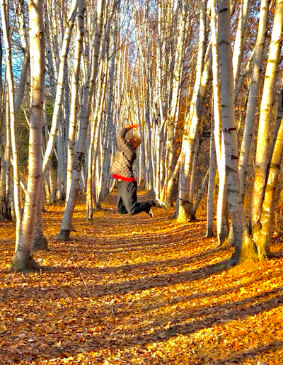 Branch Brook Campground