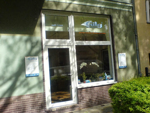 GILG-COMPUTER - Visual