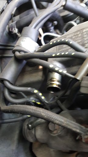 BP Auto Services - Visual