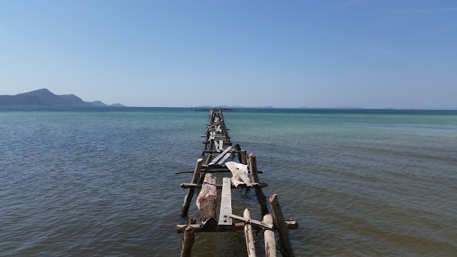 Starfish beach