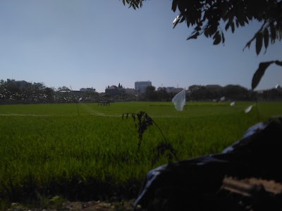 Photos of Kertomenanggal