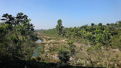 Photos of Fatickchri Odulia Tea Garden