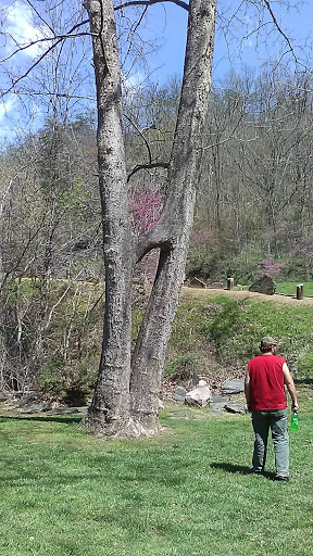 Walnut Island River Park Gallery - United States