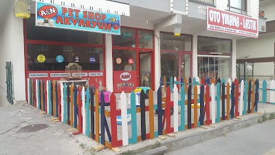 A&N Pet shop Akvaryum