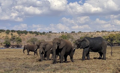Photos of Kasika Conservancy