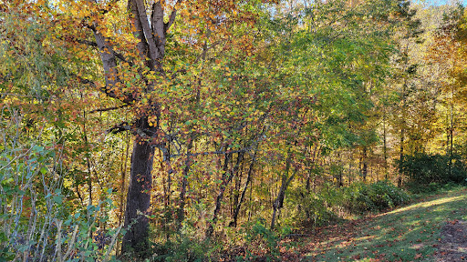 Little Pisgah Ridge Tunnel Gallery - United States
