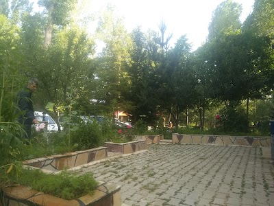 Photos of Hancıoğullari Alabalik Tesisleri