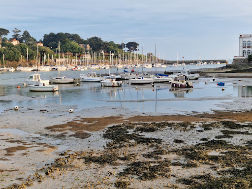Du Vieux Port - Thumbnail