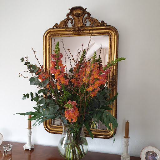Blumen & Blickfang