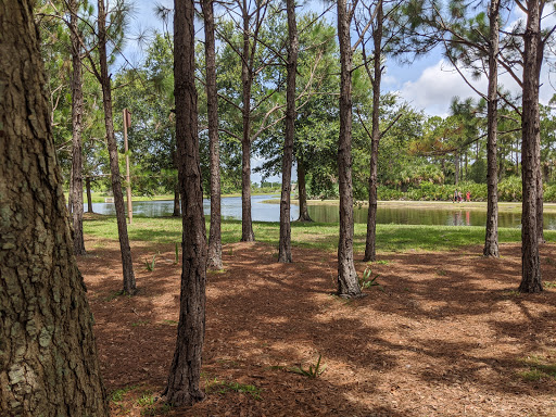 Suseda Park - Visual